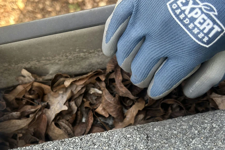 Crafton Gutter Cleaning